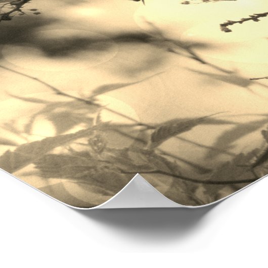 Psalm 91, Christelijk poster met vogels op de boom (Hoek)