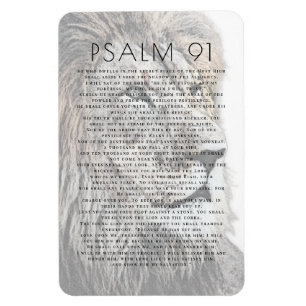 Psalm 91 Lion Head Bijbel Verse Magneet