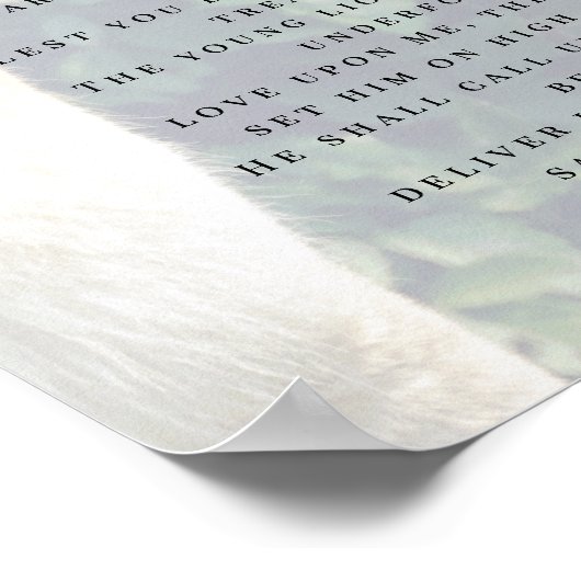 Psalm 91 Lion Head Christelijk Poster (Hoek)