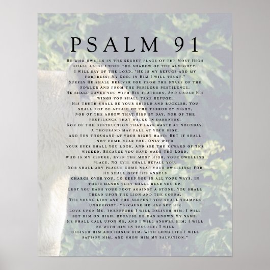 Psalm 91 Lion Head Christelijk Poster (Voorkant)