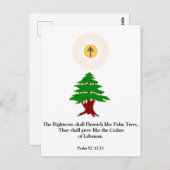 Psalm 92:12-13 Cedar of Libanon Maronite Post Kaar Briefkaart (Voorkant / Achterkant)