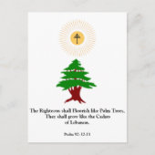 Psalm 92:12-13 Cedar of Libanon Maronite Post Kaar Briefkaart (Voorkant)