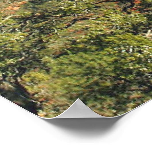 Psalm 92:13-15 Manuscriptenafdrukken Poster (Hoek)