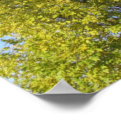 Psalm 92 Blue Sky Poster (Hoek)