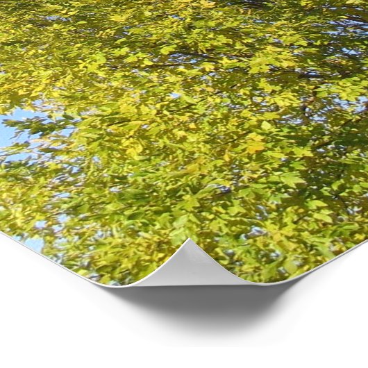 Psalm 92 Blue Sky Poster (Hoek)