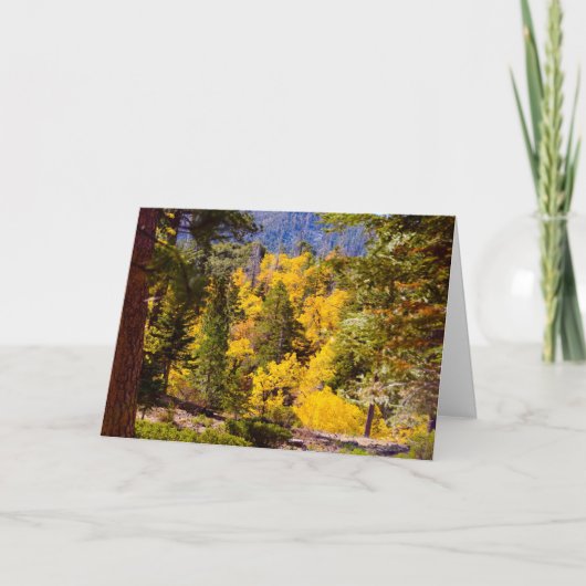 Psalm 95:2 Kaart (Voorkant)