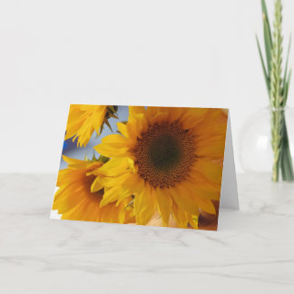 Psalm 96:1 Zonnebloemen Blank Kaart