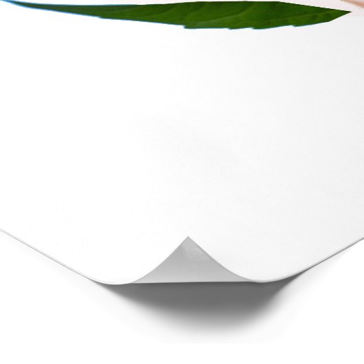 Psalm 9:1, Bijbelversie Poster (Hoek)