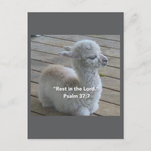Psalm Llama Briefkaart (Voorkant)