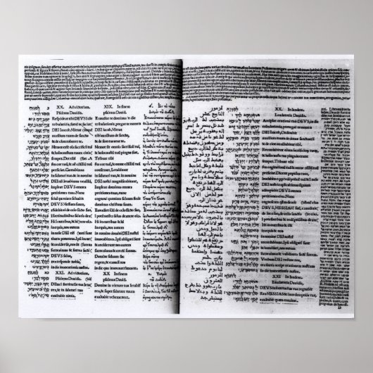 Psalm van David: Psalterim Octaplums, 1516 Poster (Voorkant)