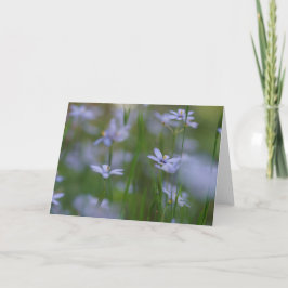 Psalmen 115:15 met Blauwe Bloemen Wenskaart Kaart