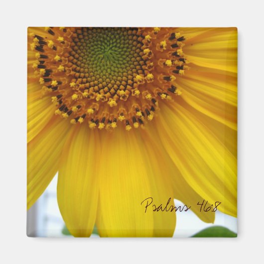 Psalmen 46:8 magneet (Voorkant)