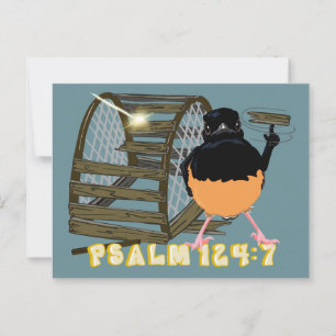 Psalmen — Witte gerompte Shama Briefkaart