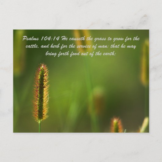 Psalms 104:14 Hij causeth the gras to grow for the Briefkaart (Voorkant)