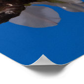 Psalms 19:14 poster (Hoek)