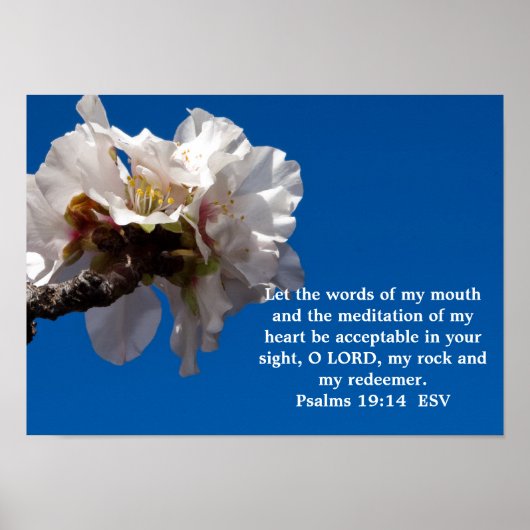 Psalms 19:14 poster (Voorkant)