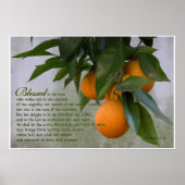 Psalms 1:1-3 Scriptafdrukken Poster (Voorkant)