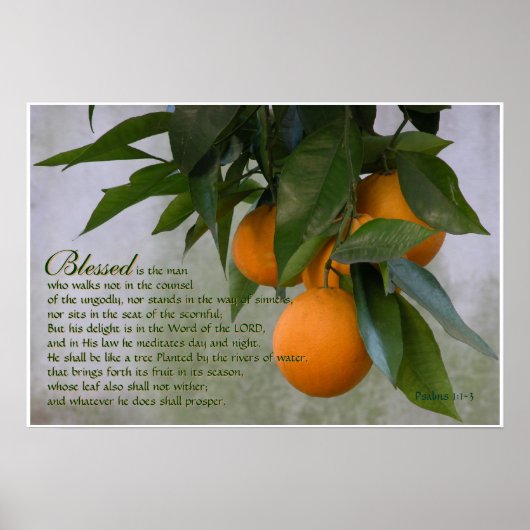 Psalms 1:1-3 Scriptafdrukken Poster (Voorkant)
