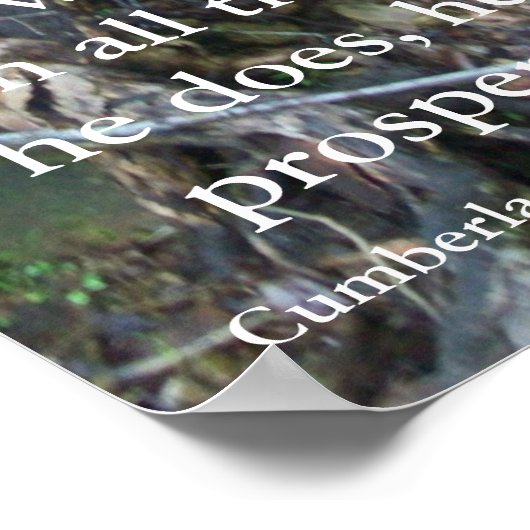 Psalms 1:3 poster (Hoek)