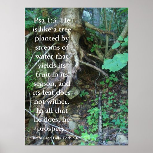 Psalms 1:3 poster (Voorkant)