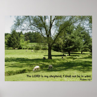 Psalms 23:1 poster