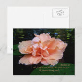 Psalms 23 Briefkaart (Voorkant / Achterkant)