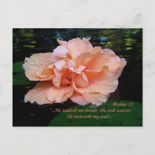 Psalms 23 Briefkaart