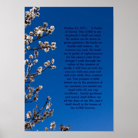 Psalms 23 poster (Voorkant)