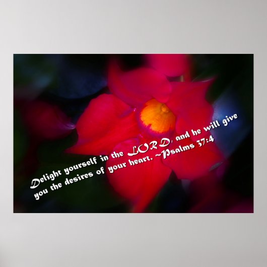 Psalms 37:4 poster (Voorkant)