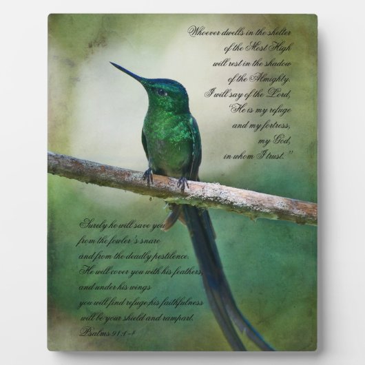 Psalms 91:1-4 Inspirerend Fotoplaat (Voorkant)