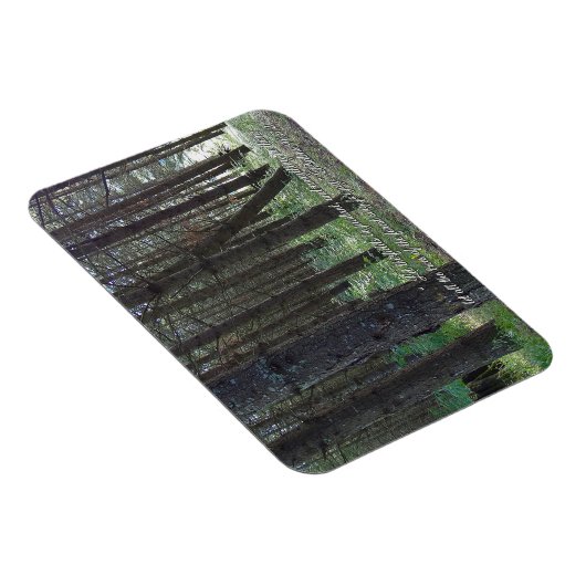 Psalms 96:12 Inspirerend Magneet (Rechterzijde)