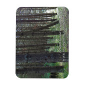 Psalms 96:12 Inspirerend Magneet (Verticaal)