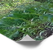 Psalms 96:12 Inspirerend Poster (Hoek)