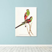 Psephotus Pulcherrimus Canvas Afdruk (Insitu (Houten vloer))