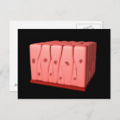 Pseudostratified Columnar Epithelium Briefkaart (Voorkant / Achterkant)