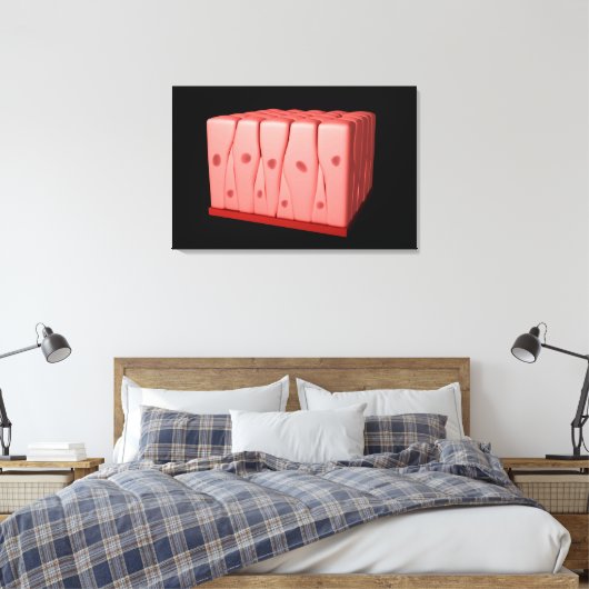 Pseudostratified Columnar Epithelium Canvas Afdruk (Insitu (Slaapkamer))