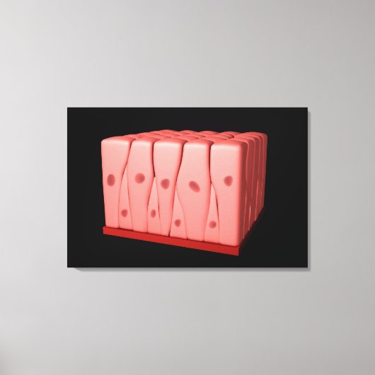 Pseudostratified Columnar Epithelium Canvas Afdruk (Voorkant)