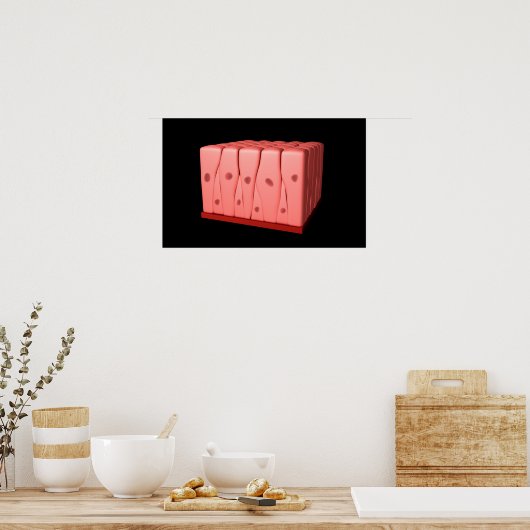 Pseudostratified Columnar Epithelium Poster (Keuken)