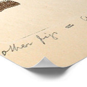 Psilocmay semilanceata Mushroom Illustratie Poster (Hoek)