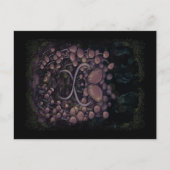 Psilocybe Allenii Briefkaart (Voorkant)