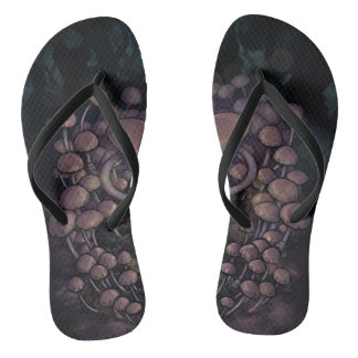 Psilocybe Allenii Teenslippers