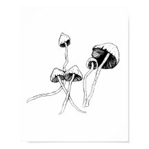 Psilocybin paddenstoel