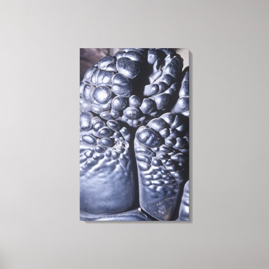 Psilomelane, een erts van Mangaan, Michigan, Veren Canvas Afdruk (Voorkant)