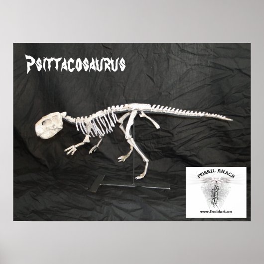 Psittacosaurus Skelet Poster (Voorkant)