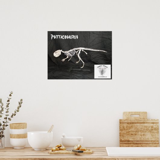 Psittacosaurus Skelet Poster (Keuken)