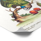 Psittacus minor gutture fusco, occidentalis  1749 poster (Hoek)