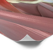 Psoas Major Poster (Hoek)