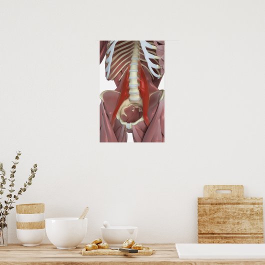 Psoas Major Poster (Keuken)