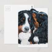 Psssst Briefkaart (Voorkant / Achterkant)