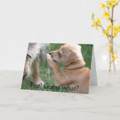 Psst! Gissing wat? Kaart (Gele Bloem)